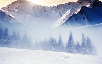 Irvine Cremation Services