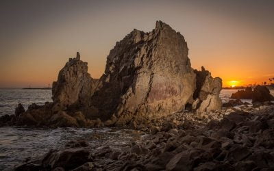 Santa Ana Cremation Services