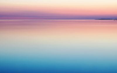 Online Funeral Arrangements