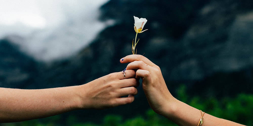 Two hands hold a single white flower against a blurred natural background with mountains and greenery, capturing a quiet moment reminiscent of a talk of a lifetime.