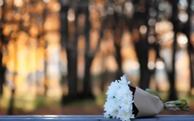 Navigating Grief: Compassionate Cremation Services in Costa Mesa